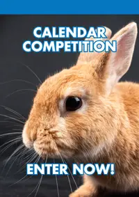 VETIQ calendar comp July 2026 sidebar - VETIQ Healthy+ - VETIQ Healthy+ Promotional banner featuring a close-up rabbit with bold text: 'Calendar Competition' and a call to action 'Enter Now!'
