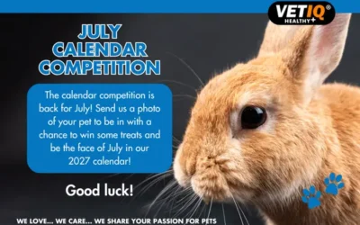 VETIQ Calendar Competition – July 2026