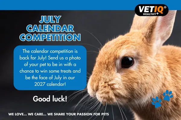 VETIQ Calendar Competition – July 2026
