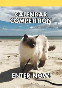 Cat on a beach poster advertising a calendar competition with the text 'Calendar Competition' and 'Enter Now!'