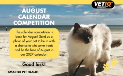 VETIQ Calendar Competition – August 2026