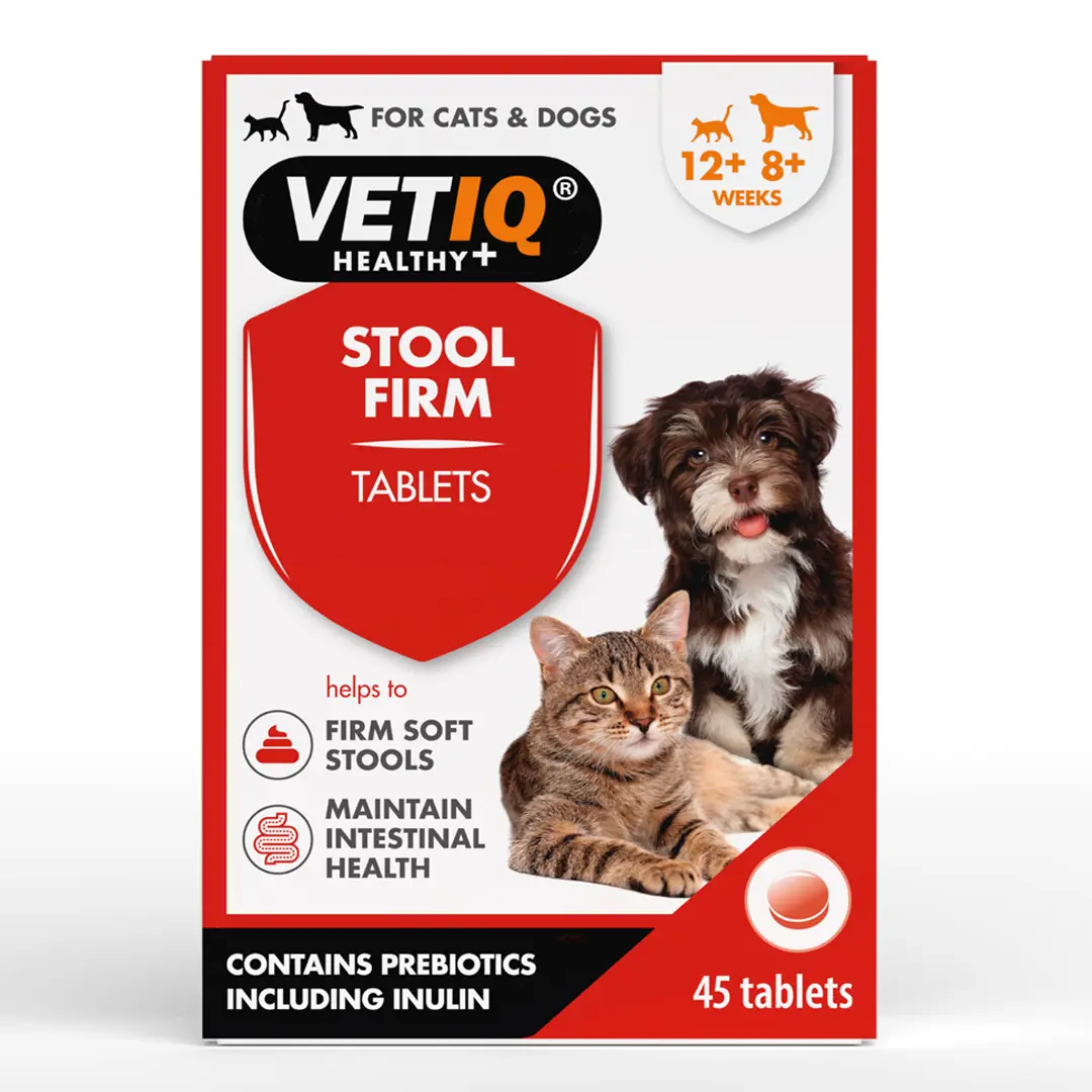 7 Signs Of A Sensitive Stomach In Dogs - VETIQ (4) - VETIQ Healthy+ 7 Signs Of A Sensitive Stomach In Dogs - VETIQ (4)