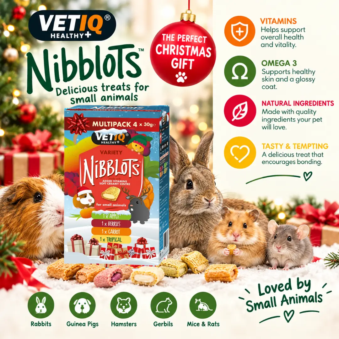 Christmas Nibblets 2 - VETIQ Healthy+ Holiday-themed VETIQ Healthy+ NibbLOTS box of small animal treats (apple, berry, carrot, tropical) on a snowy display with rabbits and hamsters nearby; festive Christmas décor in background and 'Loved by Small Animals' text at bottom.