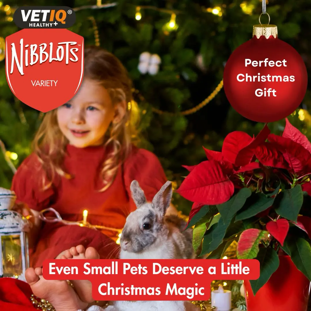 Christmas Nibblets 4 - VETIQ Healthy+