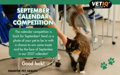 VETIQ Calendar Competition – September 2026