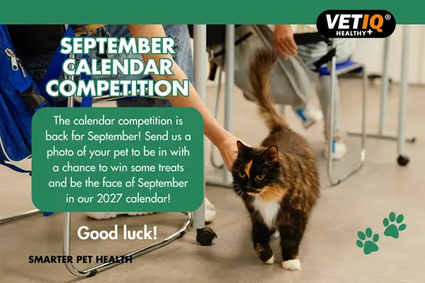 comp website image comp website image