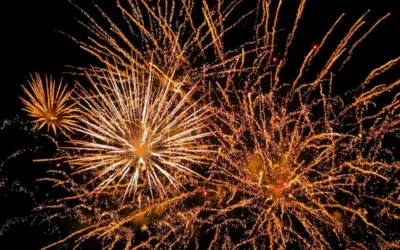 How To Calm Nervous Pets This Fireworks & Bonfire Season