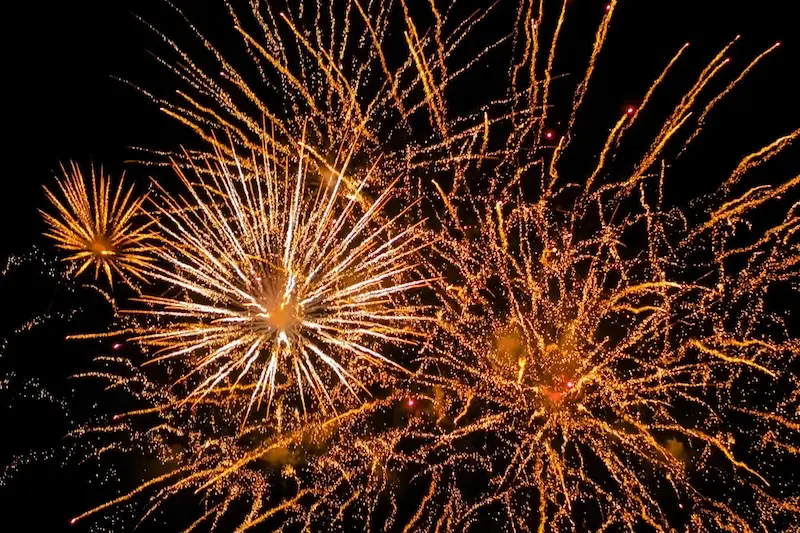 How To Calm Nervous Pets This Fireworks & Bonfire Season