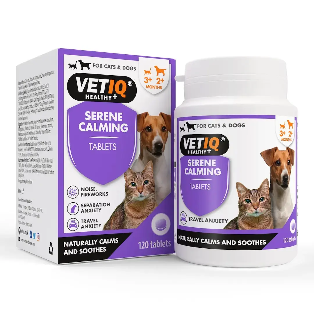 How To Calm Nervous Pets This Fireworks Bonfire Season - VETIQ (4)