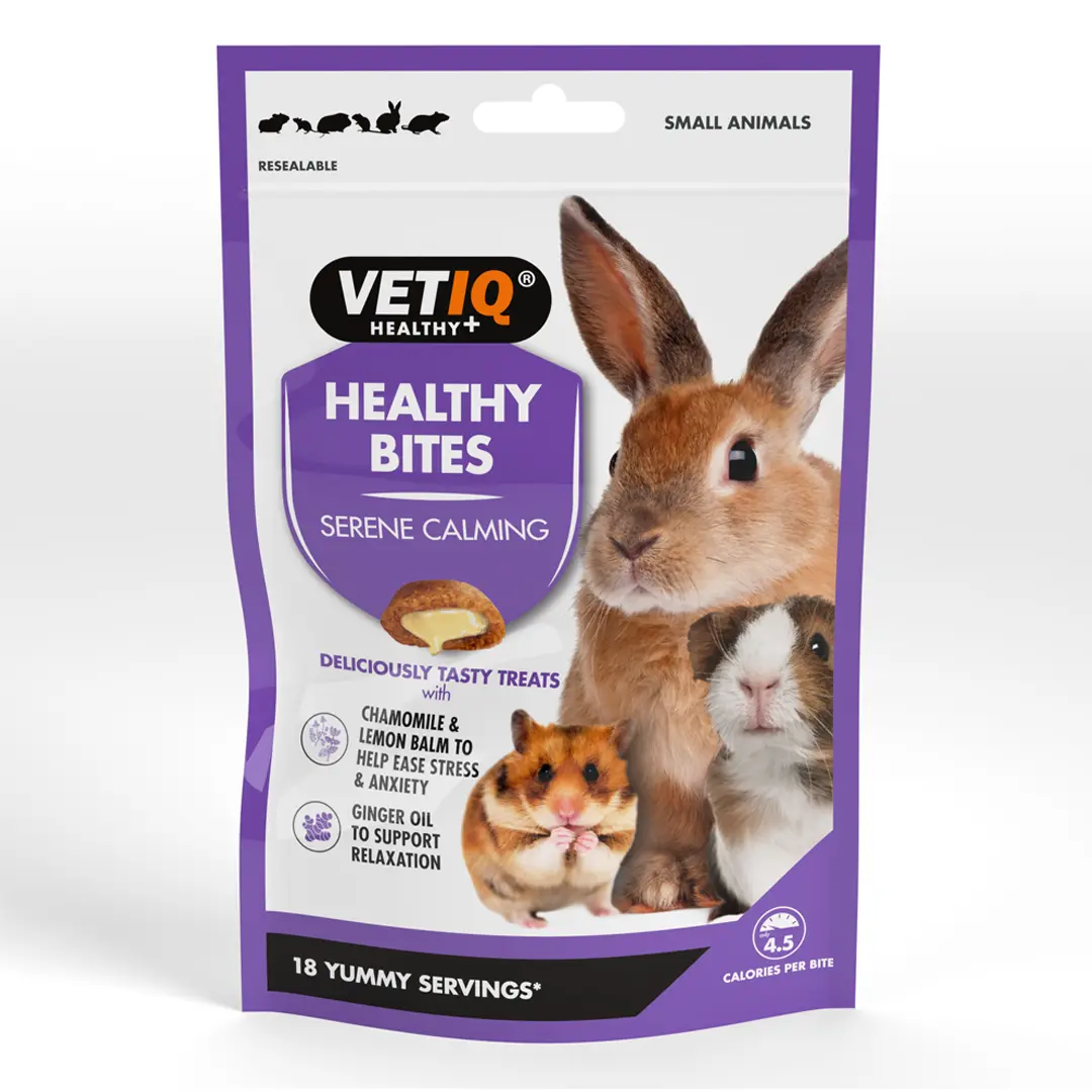 Our Guide To Keeping Small Pets Calm During Halloween - VETIQ (4) - VETIQ Healthy+ Our Guide To Keeping Small Pets Calm During Halloween - VETIQ (4)