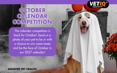 VETIQ Calendar Competition – October 2026