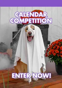 Dog dressed as a ghost on a stage with flowers, promoting a calendar competition with the text 'Calendar Competition' and 'Enter Now!'